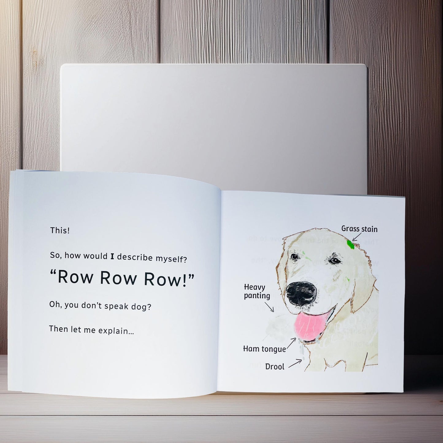 A little book about a Golden Retriever