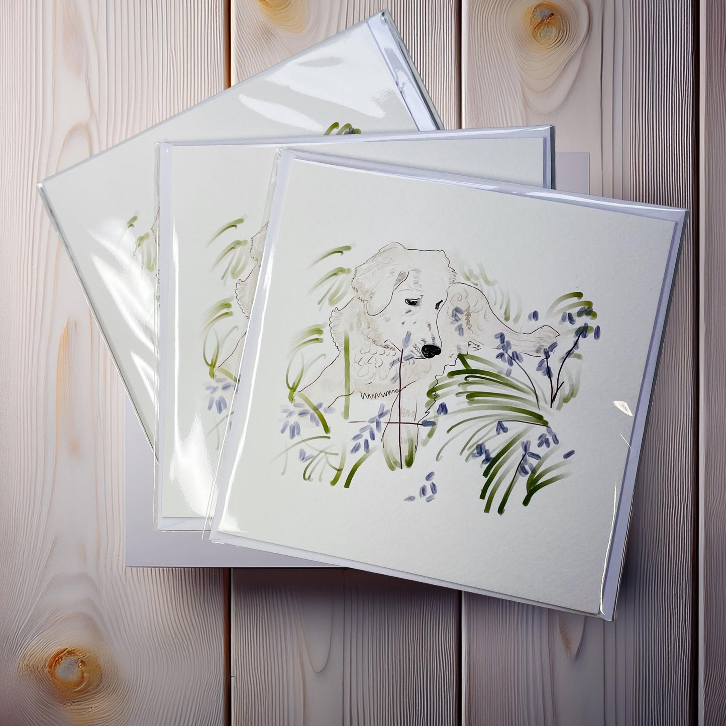 Golden retriever card, blank (148x148mm)