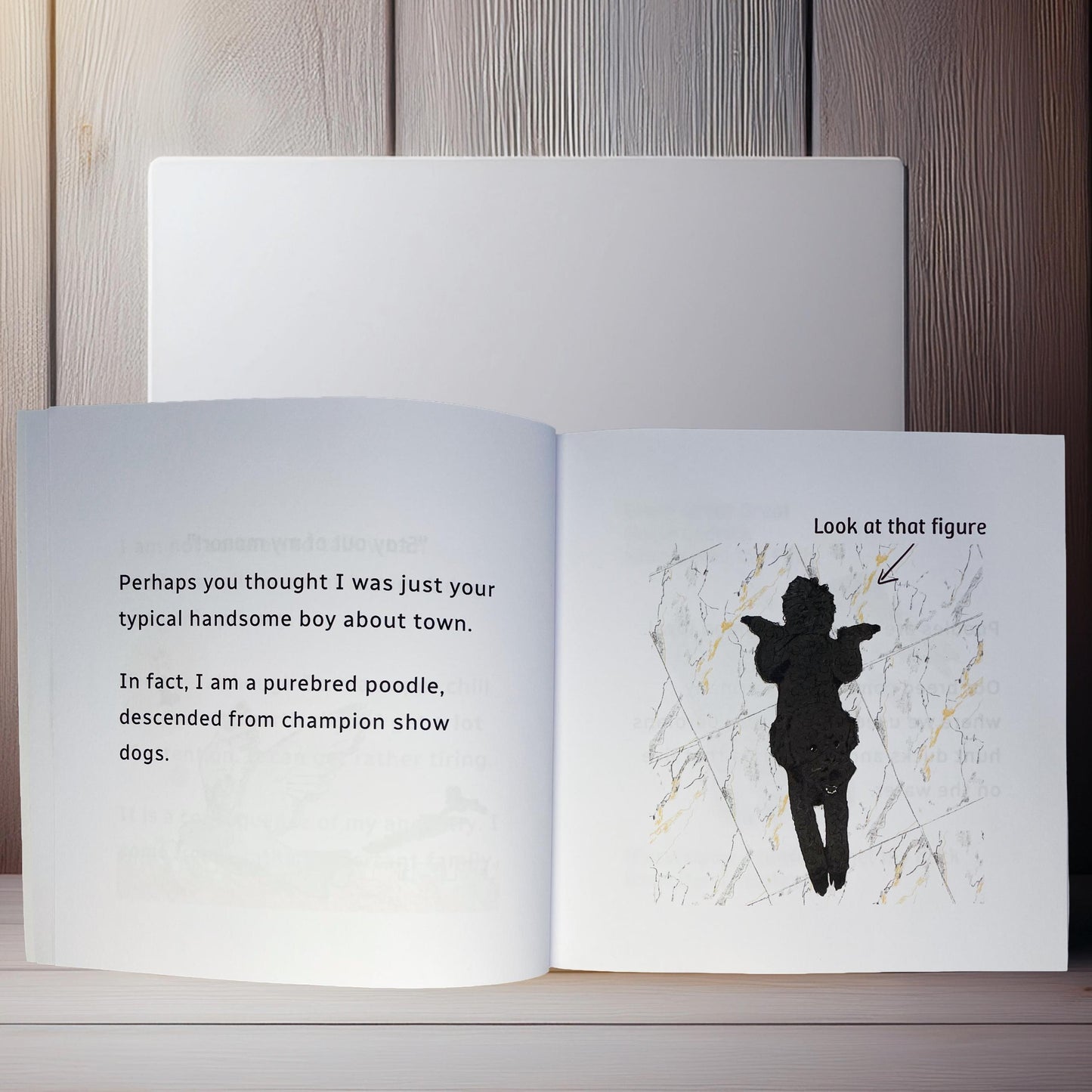 A little book about a (miniature) Poodle