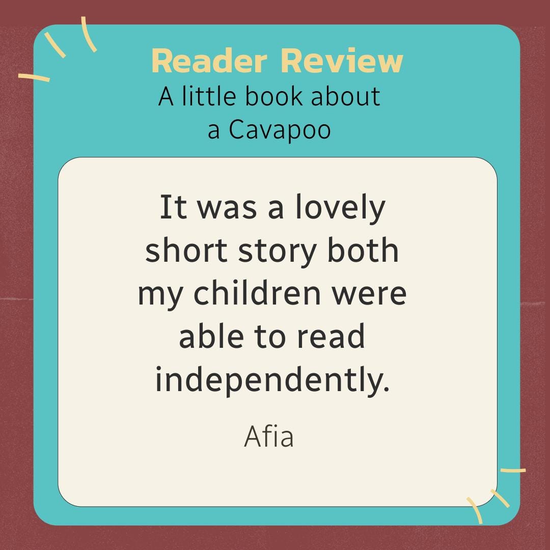 A little book about a Cavapoo