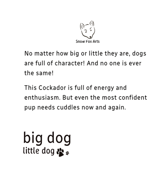 Illustrated Story Book (deposit)