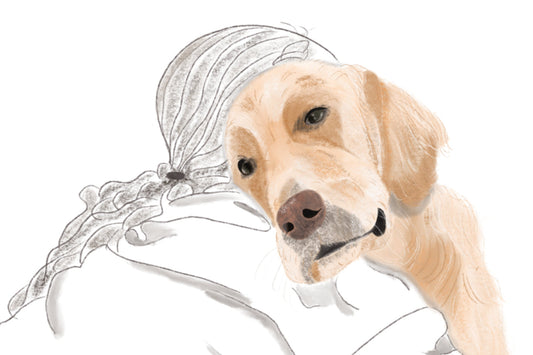 Commissioning your custom pet book: what to expect from start to finish