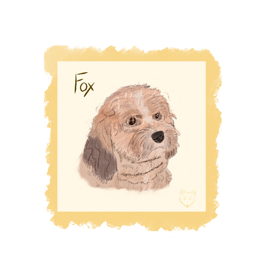 Pupdate: about...Siri (contd)