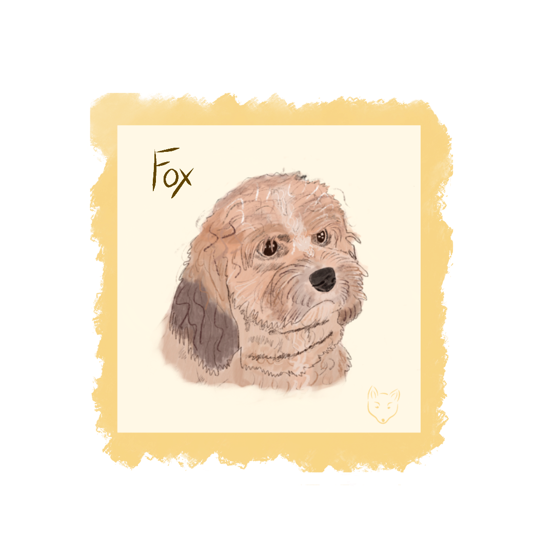 Pupdate about...woofer's block