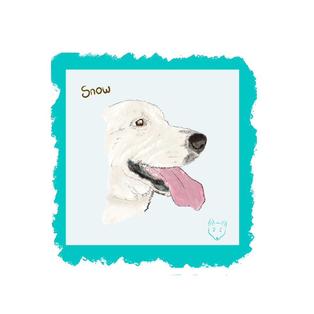 Pupdate: about...deep pressure furapy