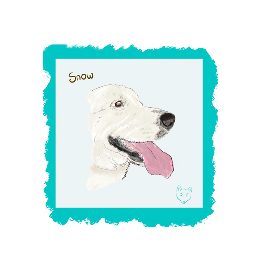 Pupdate about…fame