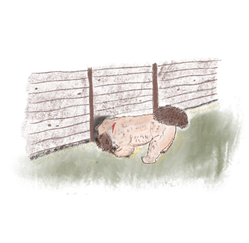 Pupdate about... boundaries