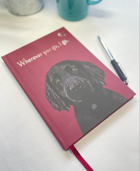 Why pet stories matter