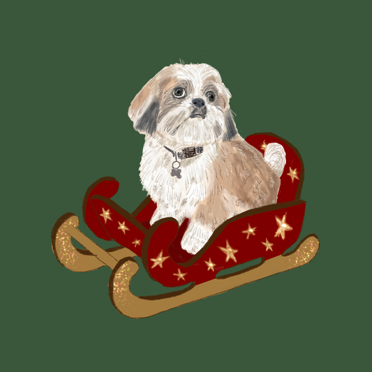 Pupdate about...Santa Paws