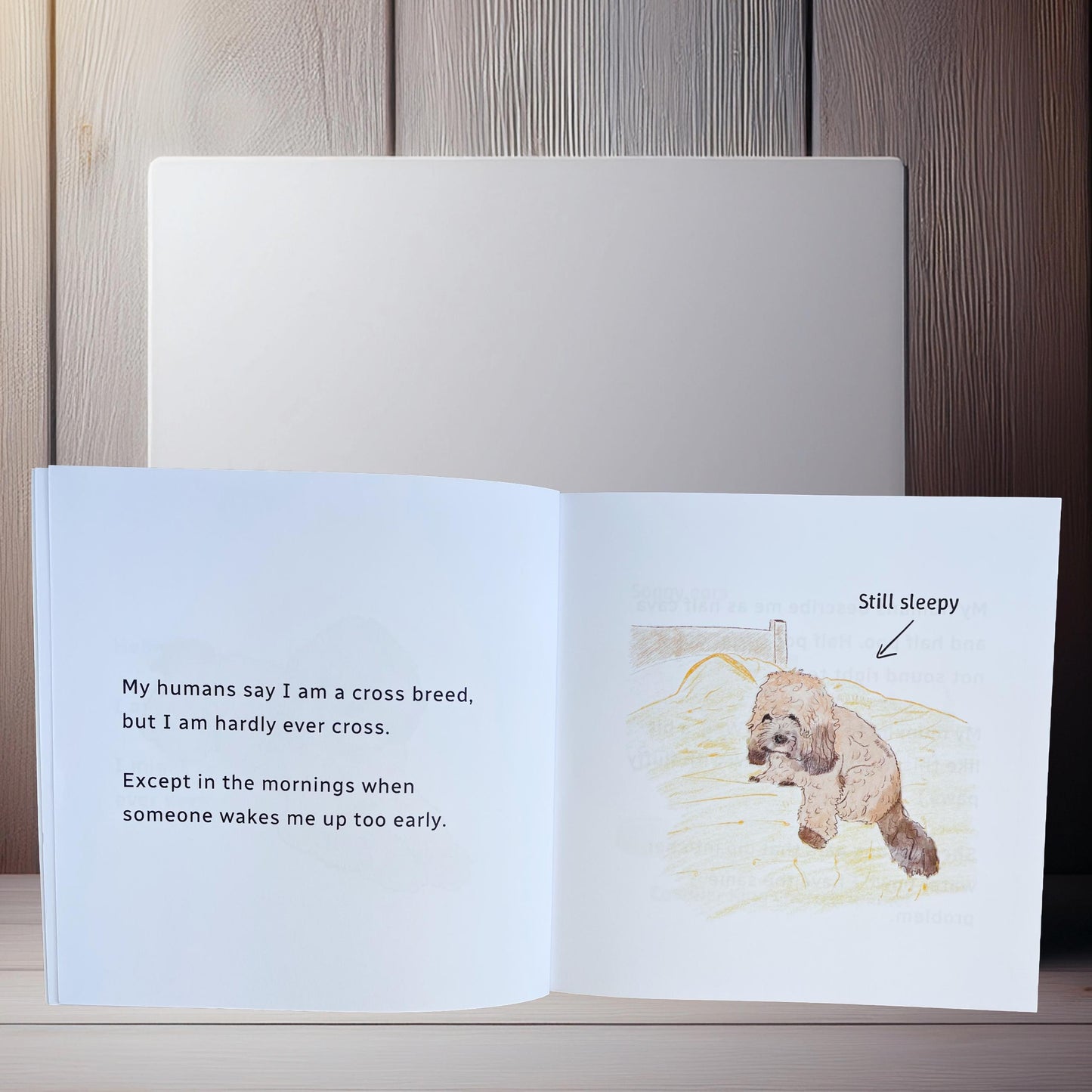 A little book about a Cavapoo