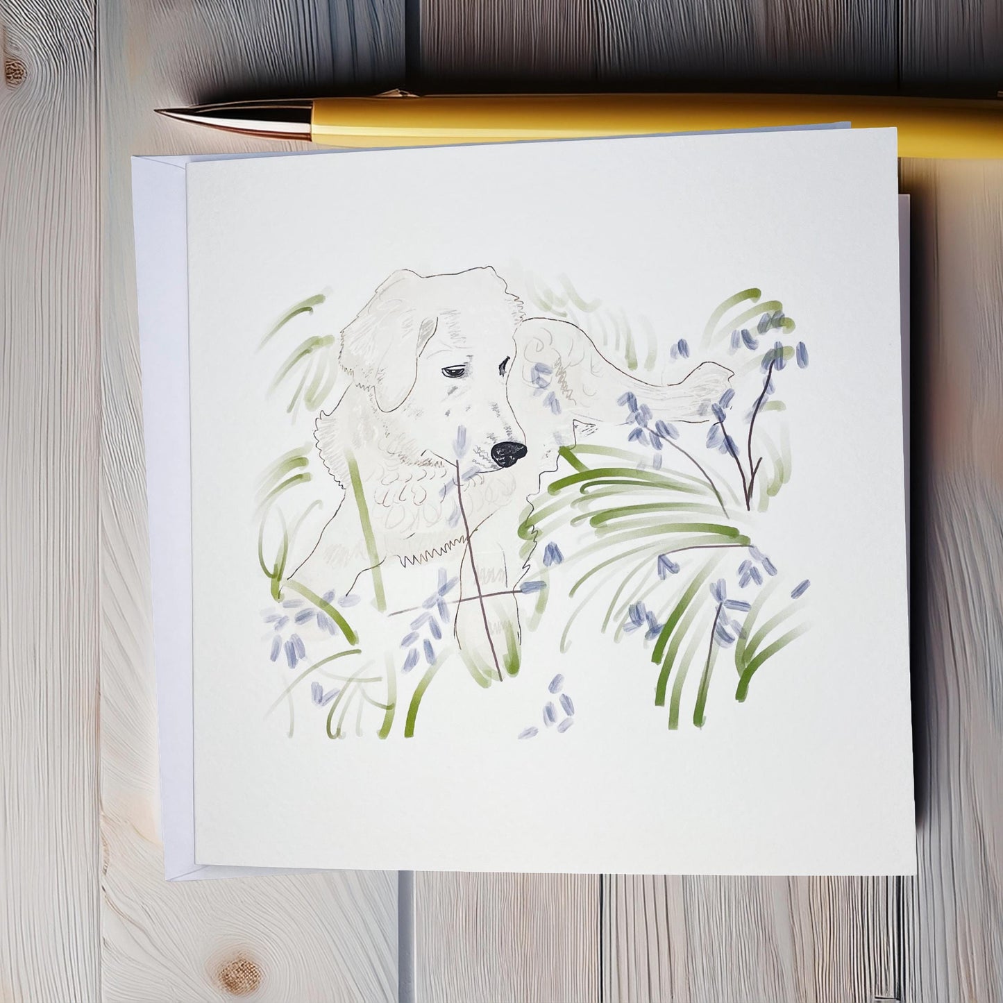 Golden retriever card, blank (148x148mm)