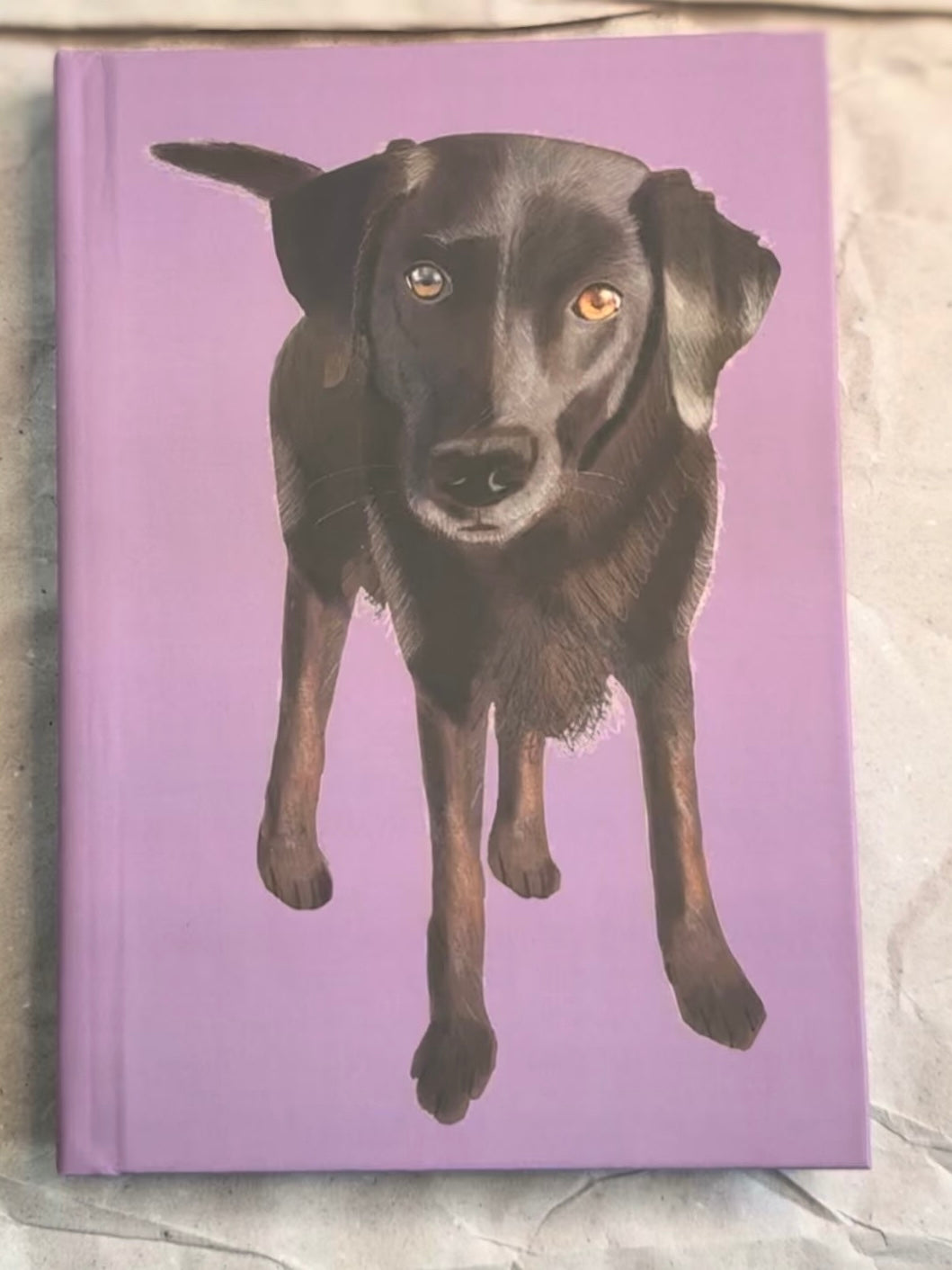 Custom Hand-drawn Pet Portait Journal | Hardback