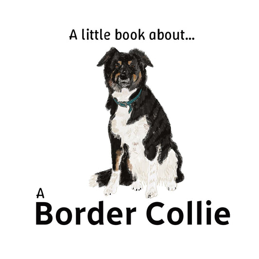 A little book about a Border Collie