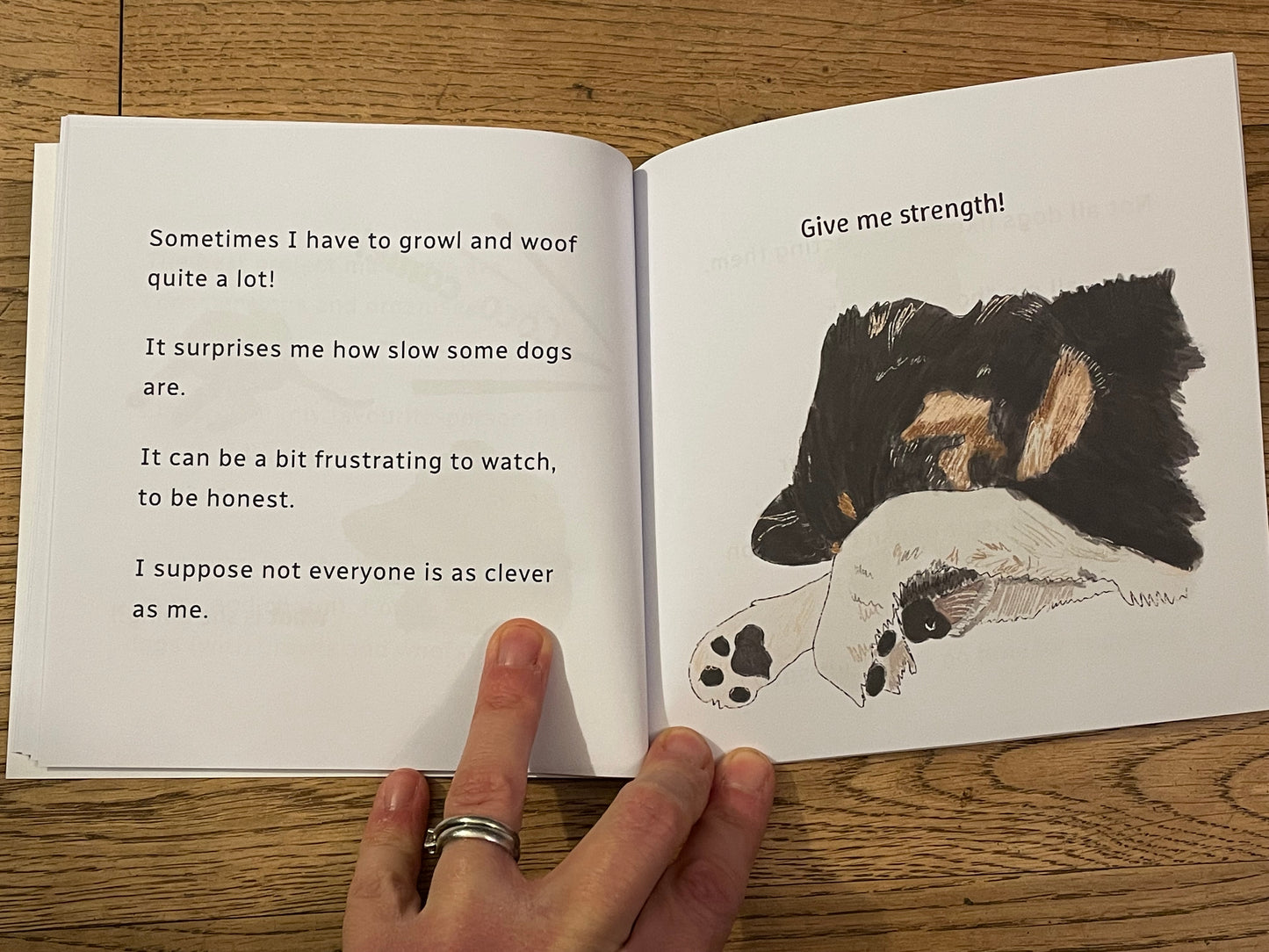 A Little Book About A Border Collie Page Spread| Give Me Strength  Snow Fox Arts