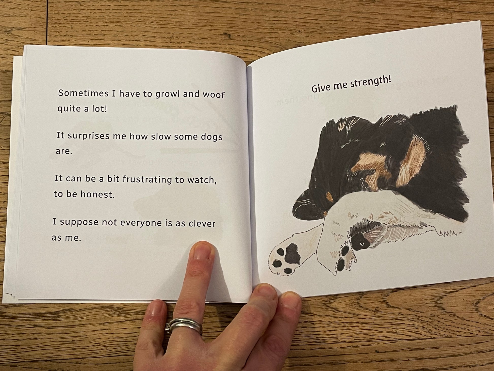 A Little Book About A Border Collie Page Spread| Give Me Strength  Snow Fox Arts