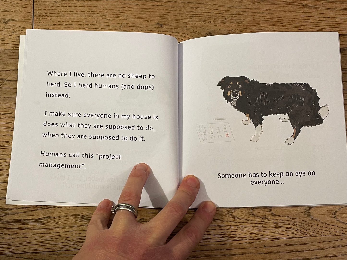 A Little Book About A Border Collie Page Spread | Project Management | Snow Fox Arts