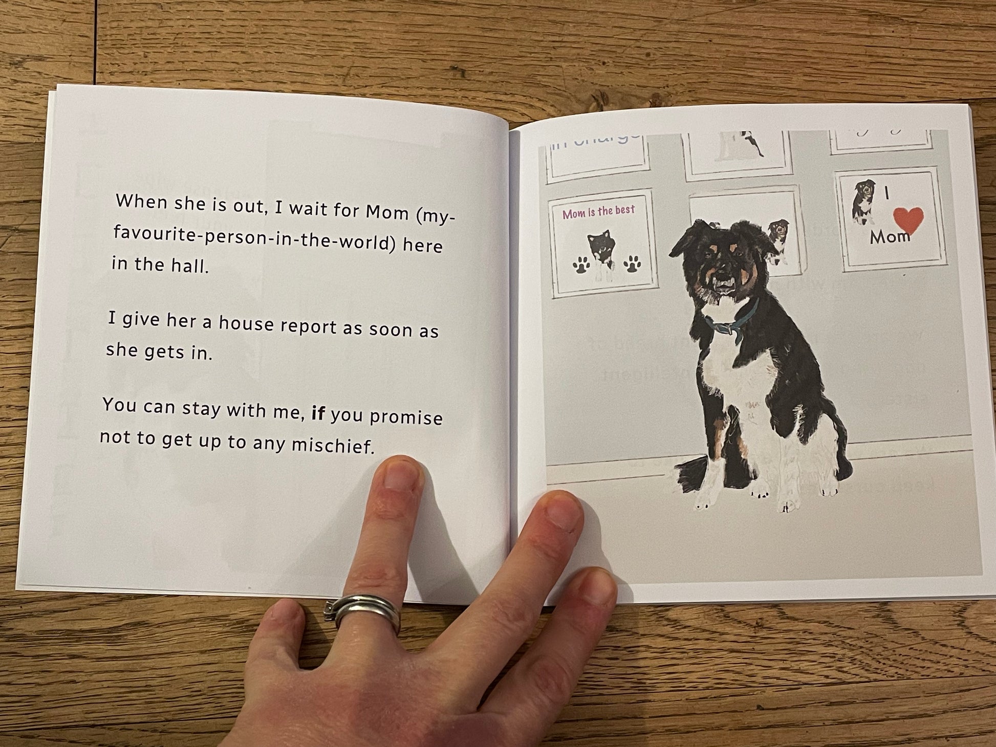 A Little Book About A Border Collie Page Spread| Snow Fox Arts