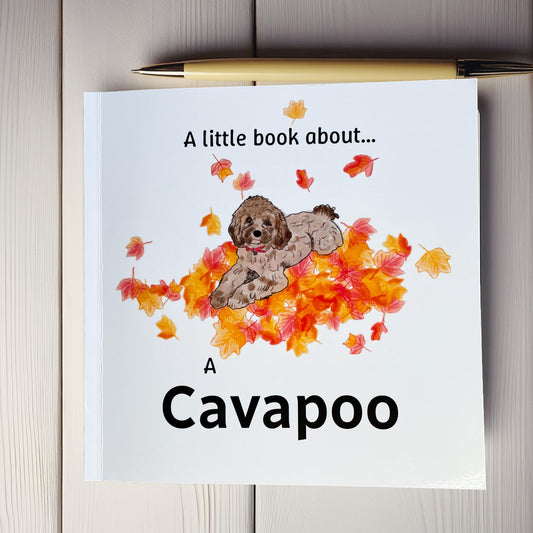 A Little Book About A Cavapoo | Front Cover | Snow Fox Arts
