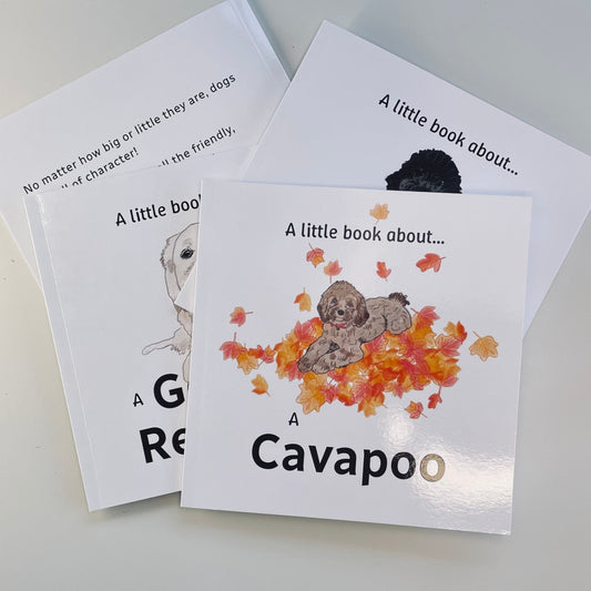 A Little Book About A Cavapoo | Snow Fox Arts