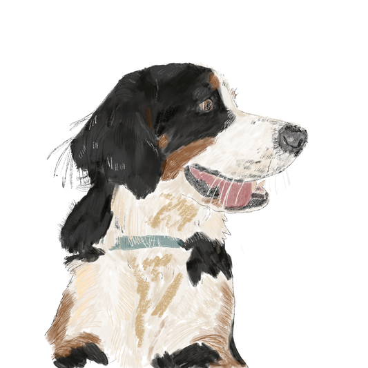 Digital artwork of your pet