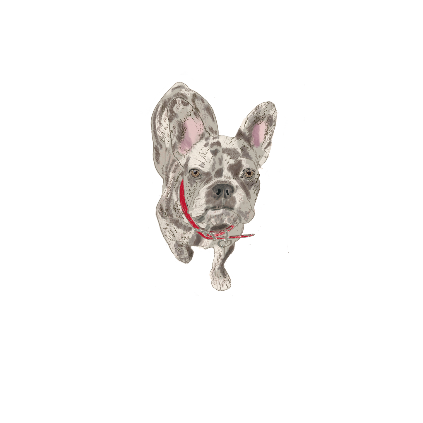 Digital artwork of your pet