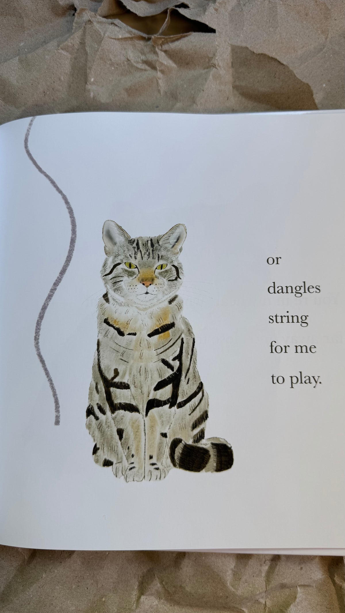 Custom Illustrated Pet Story Book | Hardback