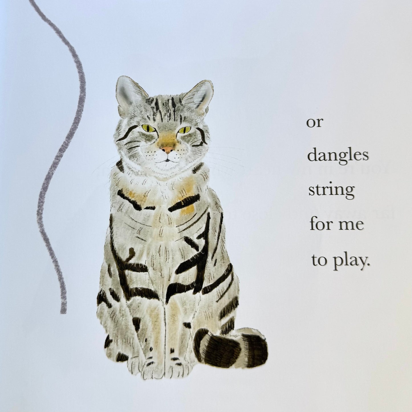 Custom Illustrated Pet Story Book | Hardback