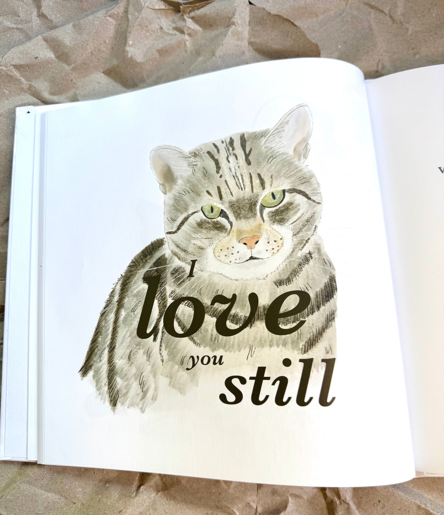 Custom Illustrated Pet Story Book | Hardback