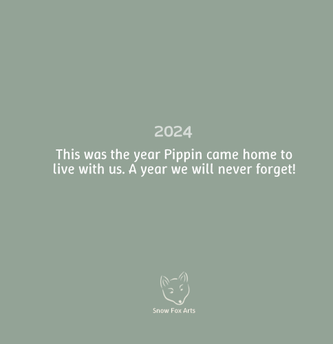 Custom First Year Pet Celebration Book
