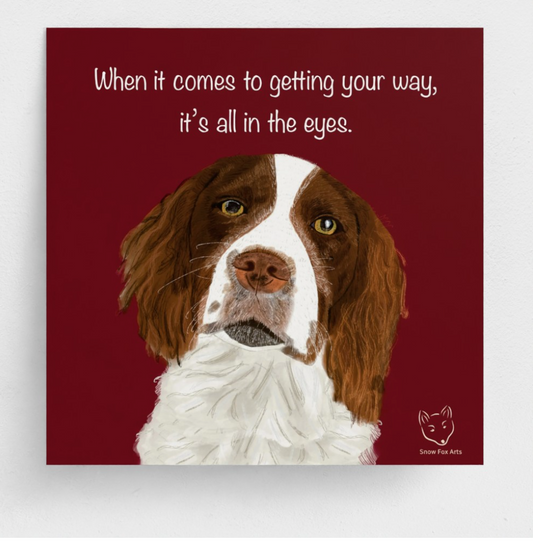 Fine art print with a spaniel on a red background