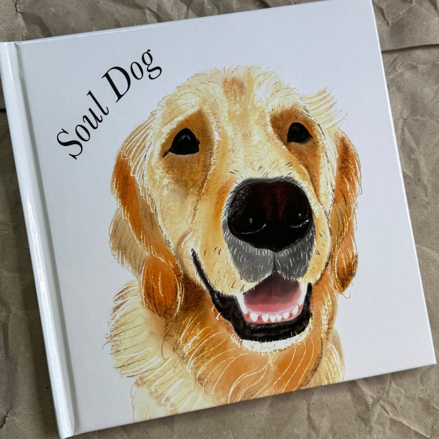 A square white hardcover book titled 'Soul Dog' featuring a painted golden retriever on the cover, photographed on a crumpled brown paper background.