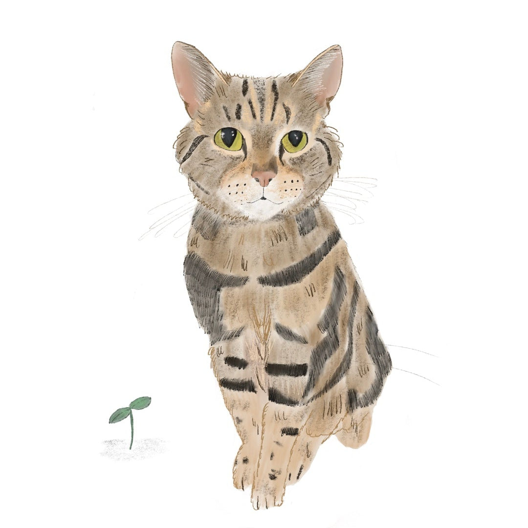 Pencil illustration of a tabby cat with yellow eyes sitting on a white background, with a small green sprout near the lower left.