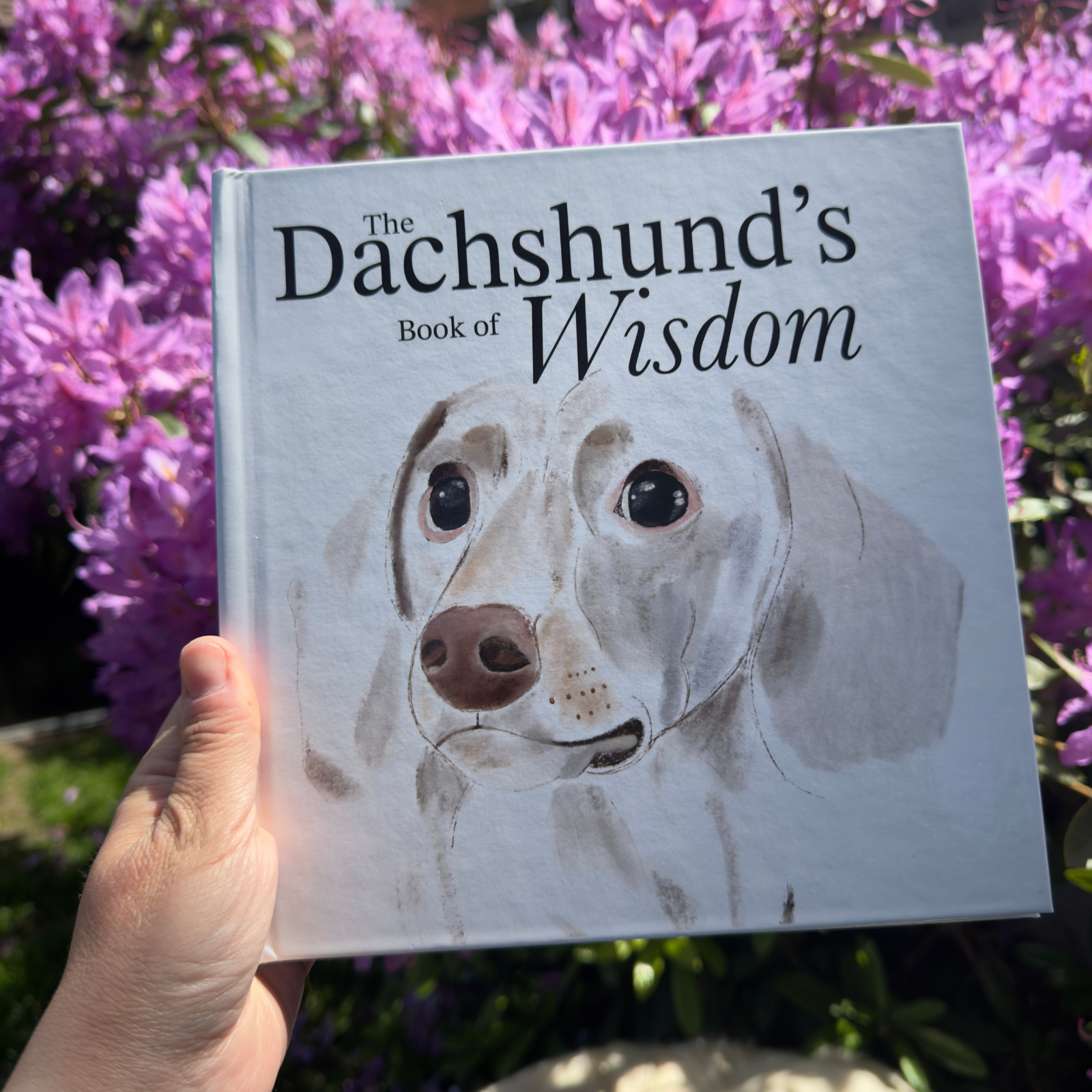 The Dachshund's Book of Wisdom Front Cover Snow Fox Arts