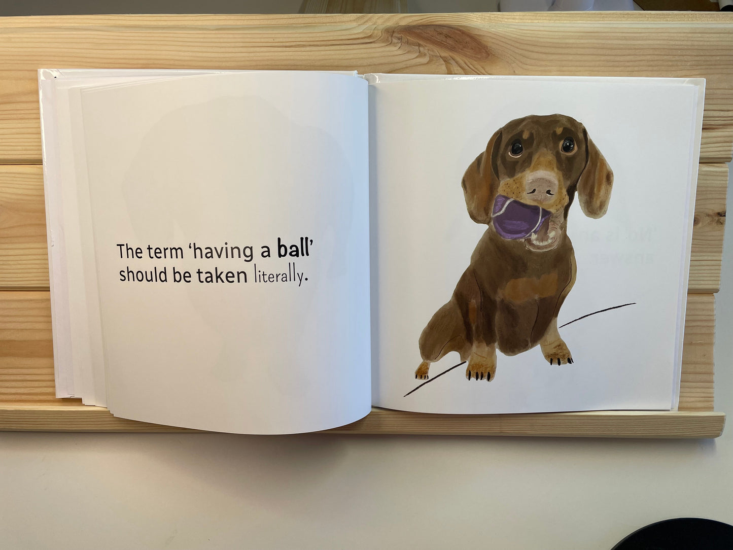 The Dachshund's Book of Wisdom | Page Spread 'Having a Ball" | Snow Fox Arts