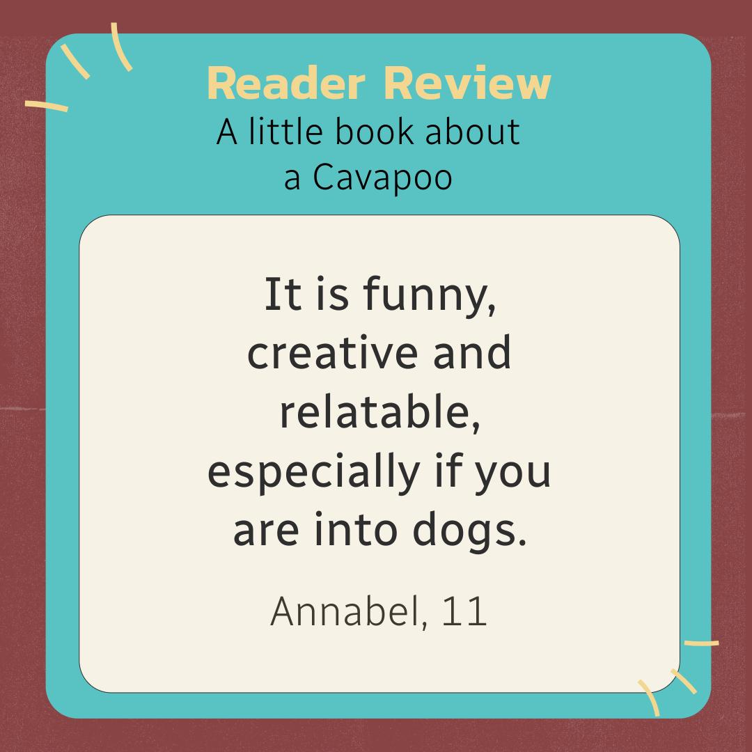 A little book about a Cavapoo