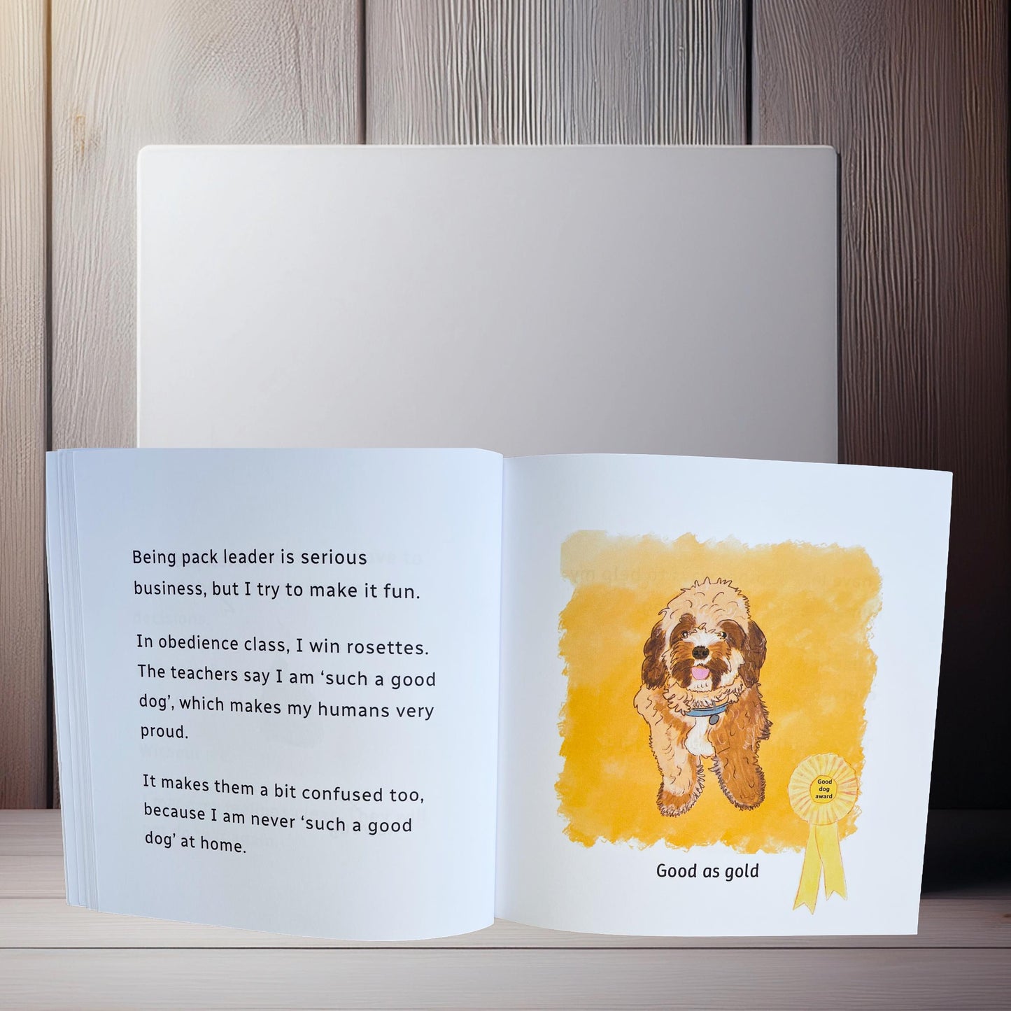 A little book about a Cavapoo