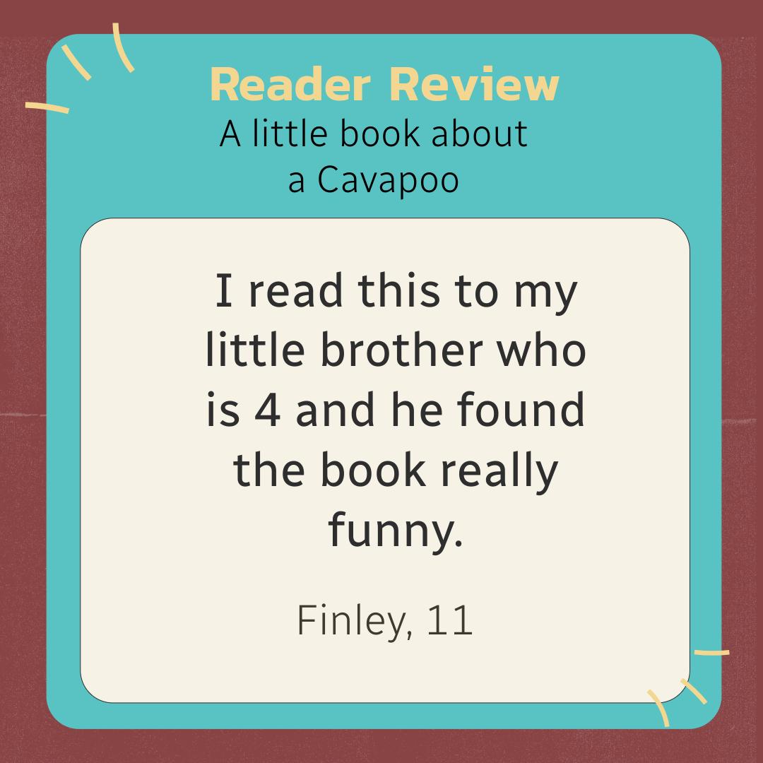 A little book about a Cavapoo