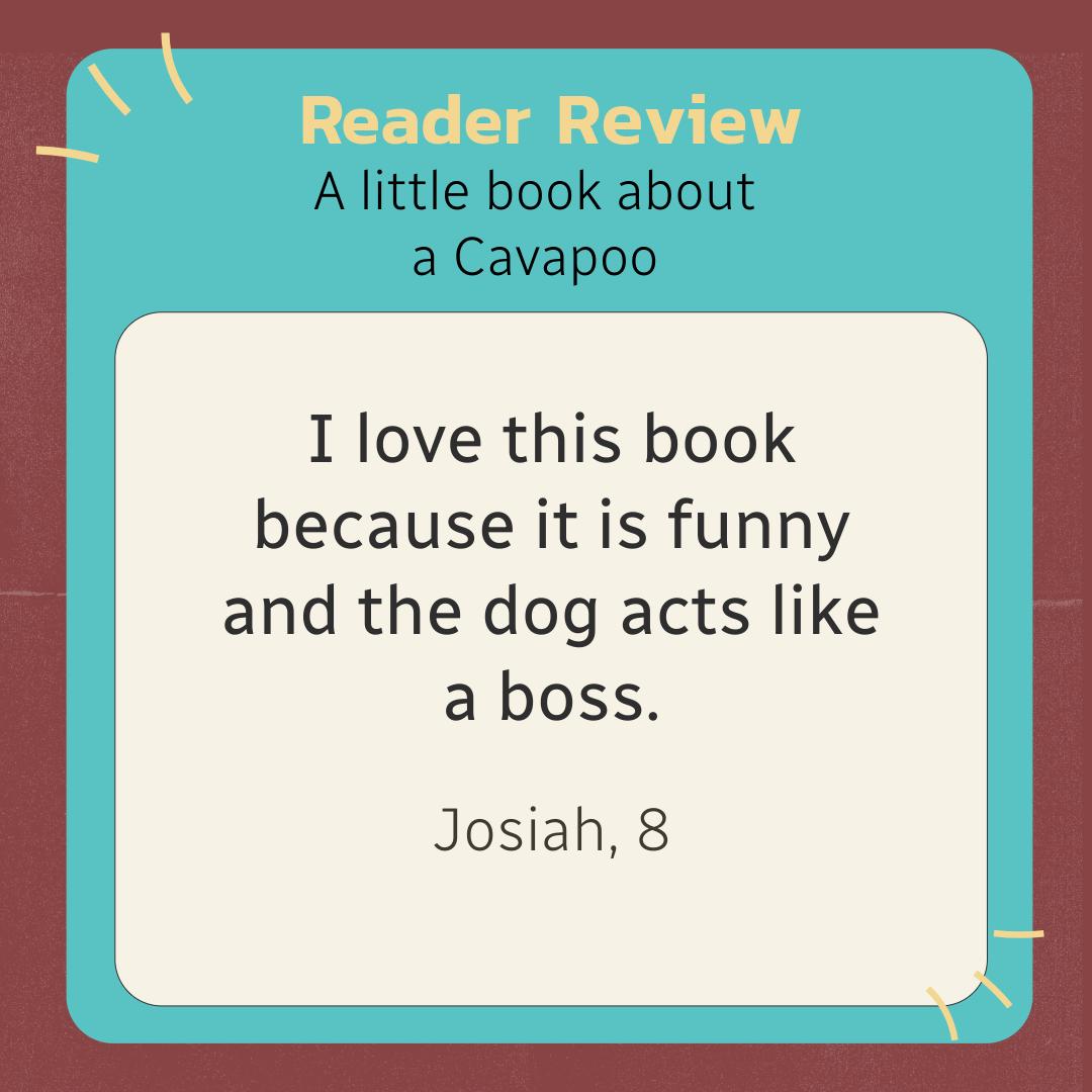 A little book about a Cavapoo