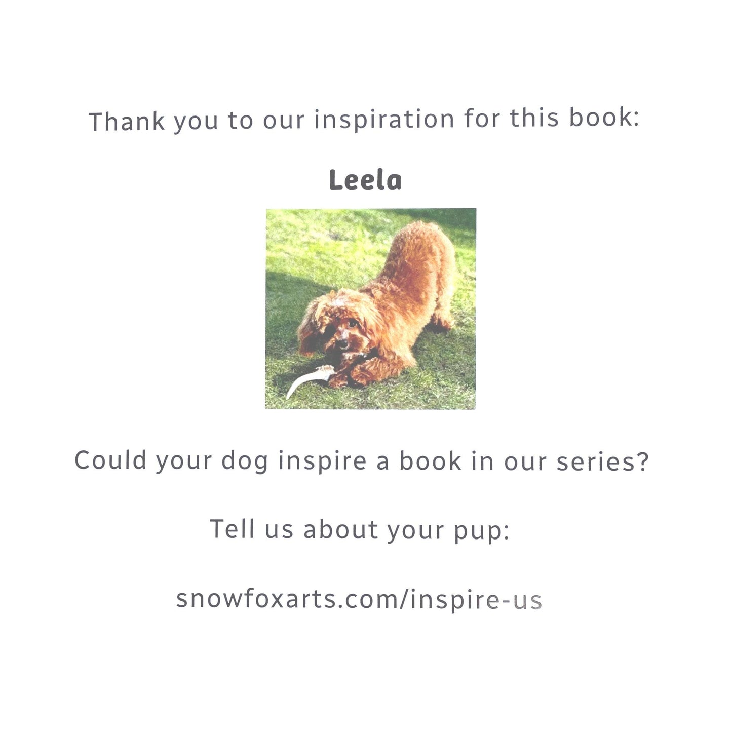 A little book about a Cavapoo