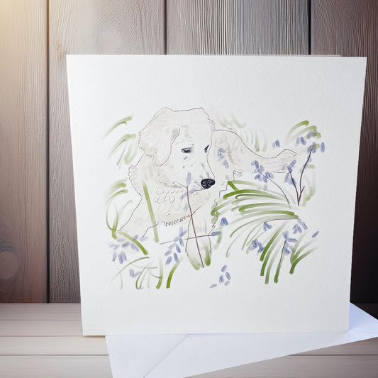 Golden retriever card, blank (148x148mm)