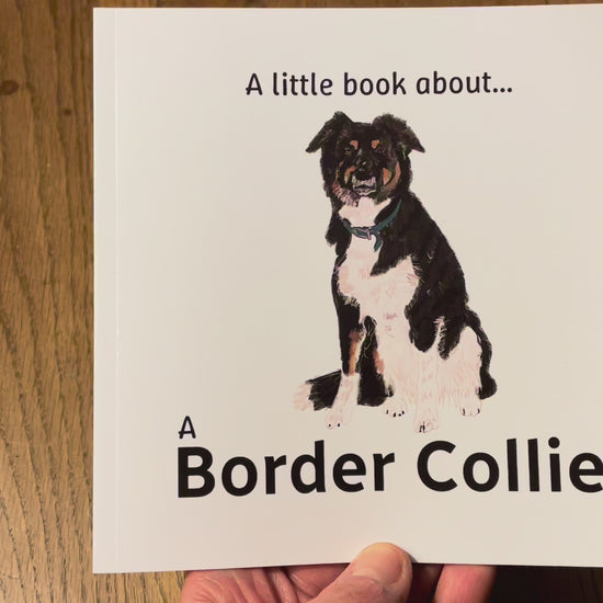 A Little Book About A Border Collie | Snow Fox Arts